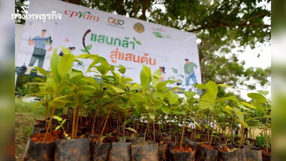 ซีพีแรม ขับเคลื่อน 'ป่า-คน-เศรษฐกิจ' เร่งปลูกป่า 1.2 แสนต้น-สร้างงาน 1,500 อัตรา
