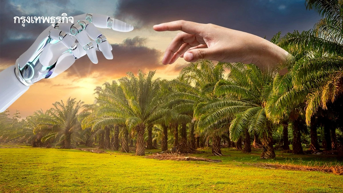 เอไอบูม กำลังเปลี่ยนสวนปาล์มน้ำมันมาเลเซียให้เป็นศูนย์ข้อมูล