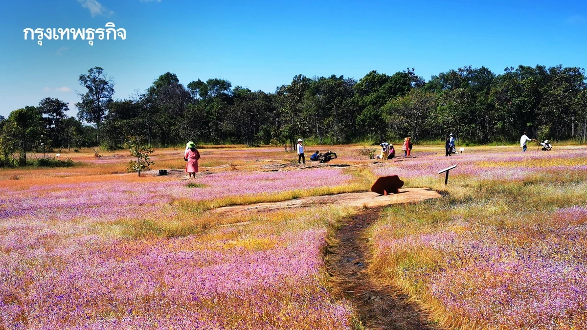 ลายแทง...ดูดอกไม้นามพระราชทาน 'สมเด็จพระพันปีหลวง'