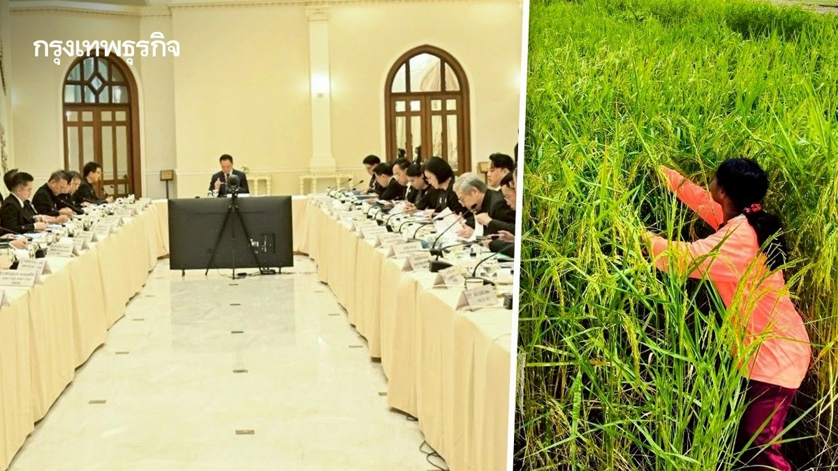 นบข. ไฟเขียวจ่ายไร่ 2,000บาทเลิกทำนาปรังปรับสู่พืชหลังนา