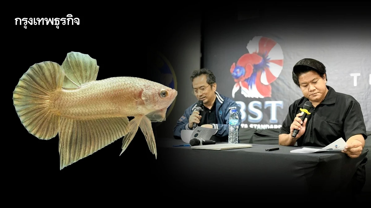 กรมประมง อบรมมาตรฐานสายพันธุ์ และเกณฑ์การประกวดปลากัดสวยงามไทย