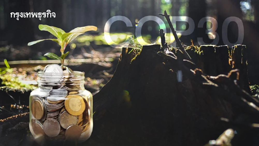 ทั่วโลกสู้ภาวะป่าไม้ถูกทำลายครั้งใหญ่ ชู 'กองทุนป่าเขตร้อน' นำร่องที่ COP30