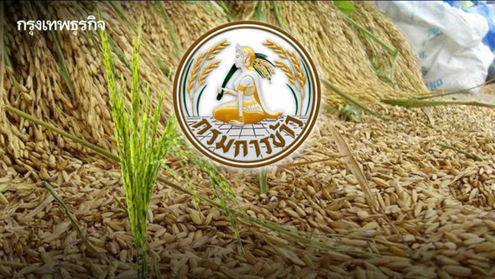 กรมการข้าว แนะนำ 10 วิธี ป้องกันและกำจัด ลดการระบาดวัชพืช