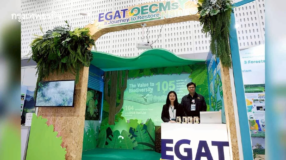 กฟผ. ฟื้นฟูป่าคืนถิ่น ดันขึ้นทะเบียน OECMs หนุนเป้า 30x30