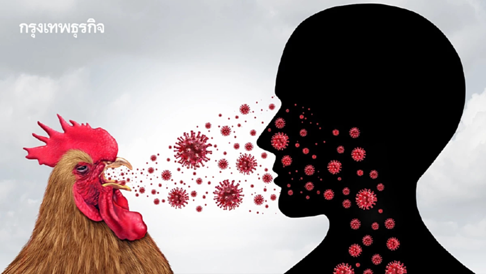 เจอรายแรกของโลก! ‘ไข้หวัดนก H5N5’ ติดสัตว์สู่คน เสียชีวิต