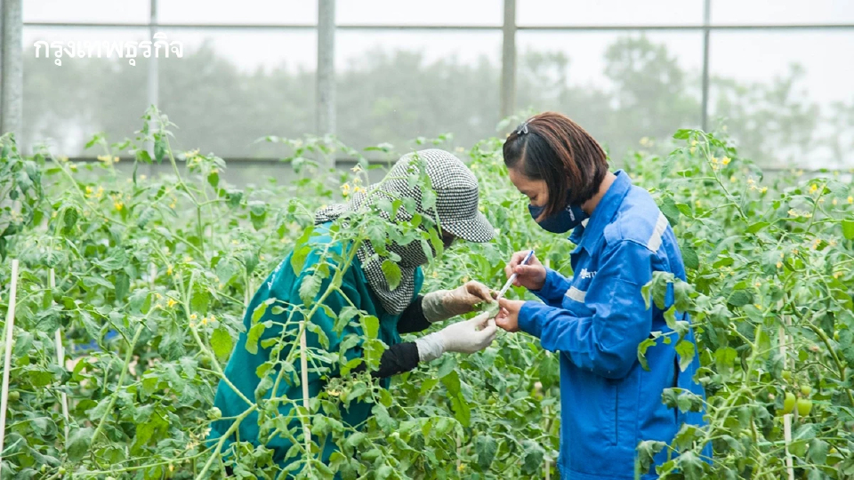 ซินเจนทา คว้าตำแหน่ง นายจ้างระดับโลกครอบคลุมทุกอุตสาหกรรม