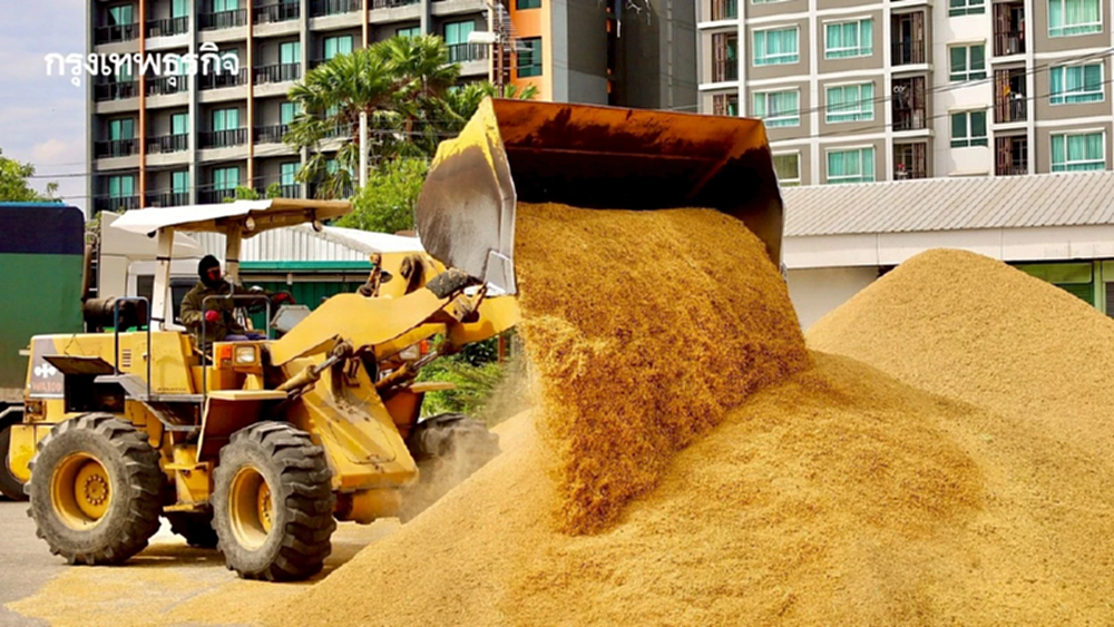 สหกรณ์การเกษตร เปิดจุดรับซื้อข้าว ทั่วประเทศ เป้า 4 ล้านตัน