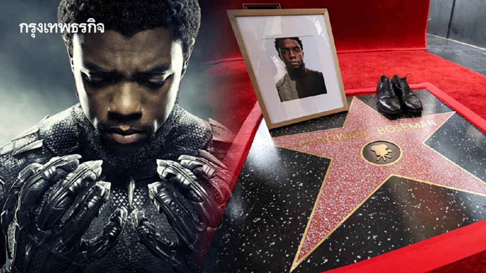 ‘แชดวิก โบสแมน’ Black Panther ได้ประดับดาวฮอลลีวูดหลังสิ้นชีพ