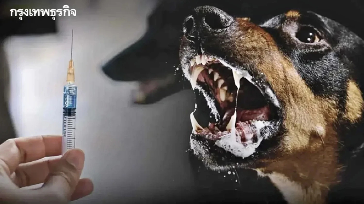 ด่วน! ประกาศเขต 'โรคพิษสุนัขบ้า' ระบาด แขวงคลองสามประเวศ เขตลาดกระบัง กทม.