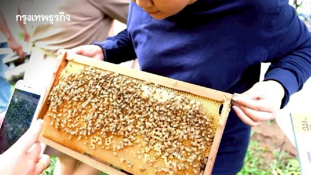 ไทย - จีน ลงนาม เปิดตลาดผลิตภัณฑ์จากผึ้งมูลค่ากว่า 1,000 ล้านบาท