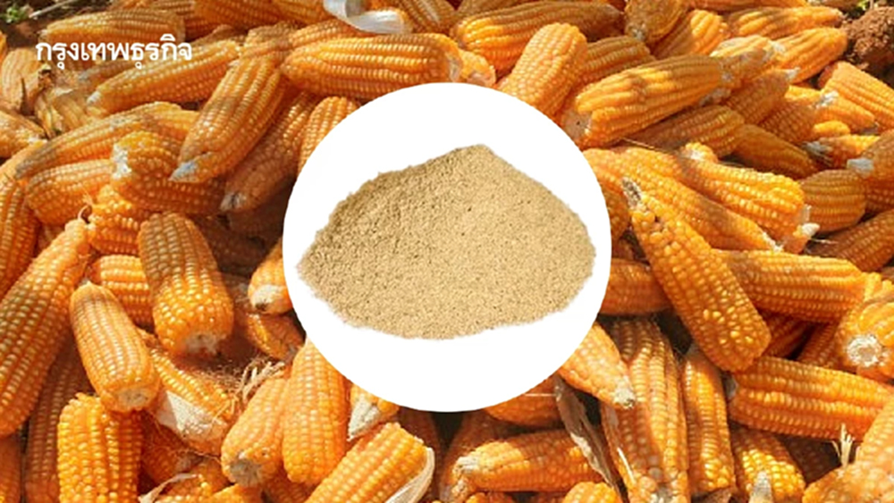 เอกชน ขานรับ มติครม.ให้นำเข้ากากถั่ว -ข้าวโพด ยันจะไม่กระทบเกษตรกร