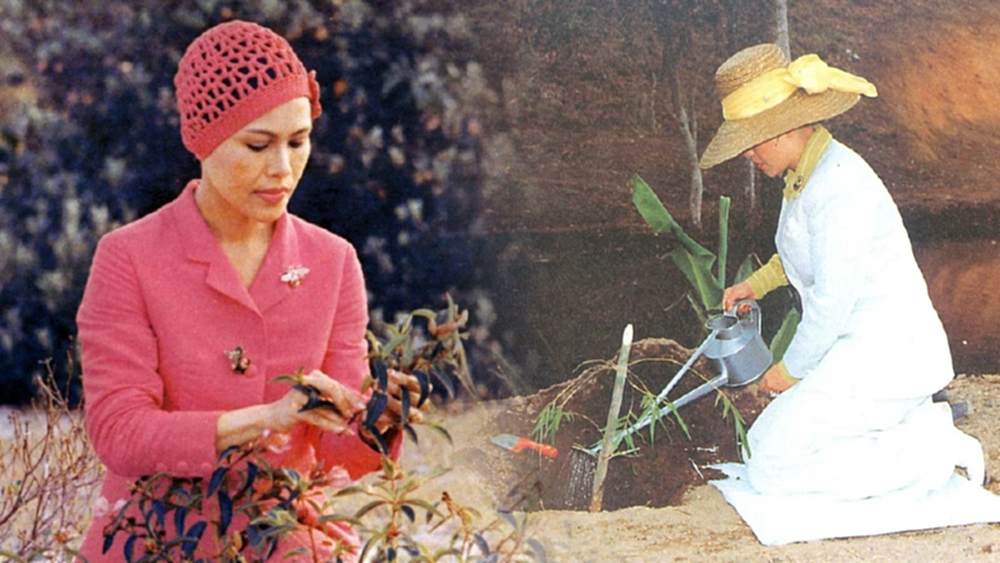 ย้อนรอยพระราชกรณียกิจ 'สมเด็จพระพันปีหลวง' ผู้ทรงเป็นนักอนุรักษ์ล้ำยุค