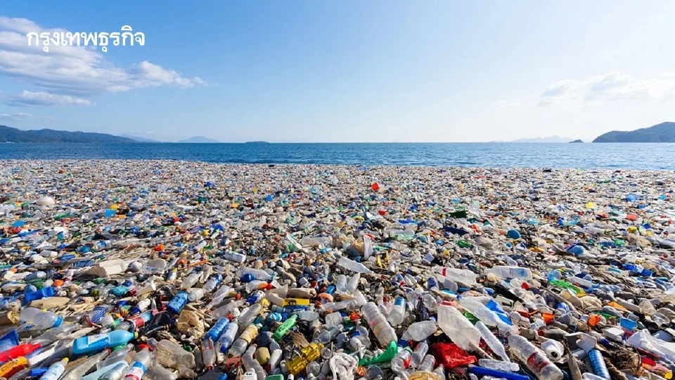 พบสัตว์นับสิบชนิด บน ‘แพขยะใหญ่แปซิฟิก’ เกิดระบบนิเวศทางทะเลใหม่