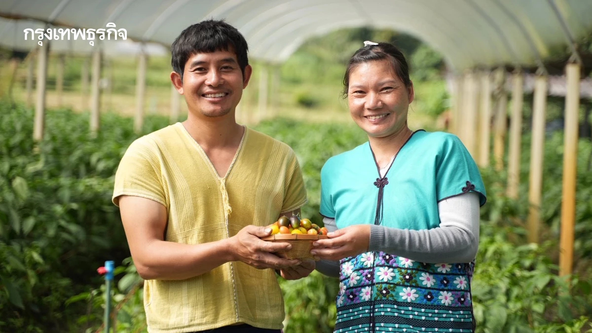 ซินเจนทา ดันเกษตรในโครงการ ' เพาะดีกินดี ' ได้มาตรฐาน GAP