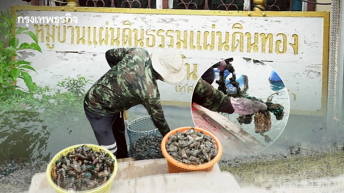 เที่ยวศรีราชา ปักหมุด 'ชุมชนบ้านใน' เรียนรู้การอนุรักษ์ สัมผัสวิถีทะเลใกล้กรุง