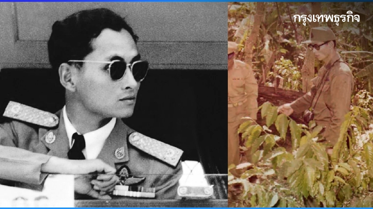 ต้นกาแฟของ 'พ่อ' พระมหากรุณาธิคุณเปลี่ยนป่าฝิ่นเป็นป่าอราบิก้า