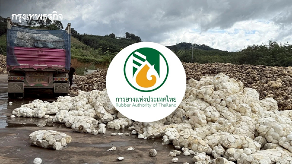 กยท. ทุ่ม2,280 ล้าน ดูดยางออกนอกระบบ 2.5 แสนตัน หวังราคาดีด รับยางคุณภาพ
