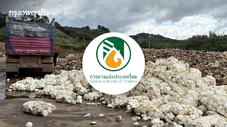 กยท. ทุ่ม2,280 ล้าน ดูดยางออกนอกระบบ 2.5 แสนตัน หวังราคาดีด รับยางคุณภาพ