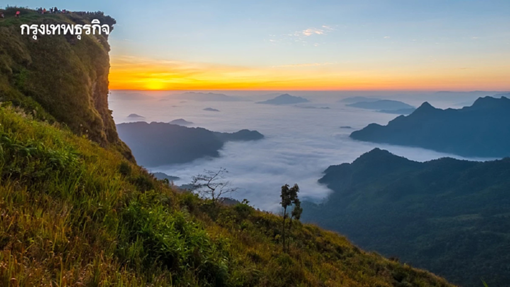 มาตรการใหม่ 'ชมทะเลหมอก' ไฮซีซั่น ภูชี้ฟ้า ห้ามรถส่วนตัวขึ้นดอย