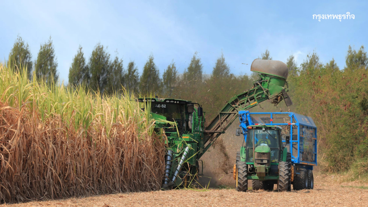 กลุ่มมิตรผล - เกษตรกร ชวนตัดอ้อยสดตลอดฤดูหีบ เดินหน้าแคมเปญ 'นะโม ตัดสด' เสริมรายได้