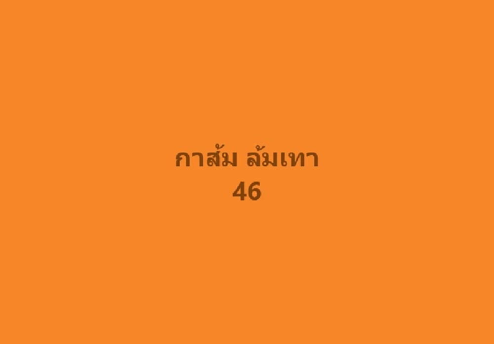 ปชน.ปลุก 'กาส้ม ล้มเทา' ใช้คีย์เวิร์ด '4ระชาช6' หาเสียงเลือกตั้ง
