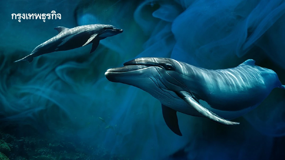 พบ ‘สารเคมีตลอดกาล’ ใน ‘โลมา-วาฬ’ ปริมาณสูง แม้อยู่ในทะเลลึก