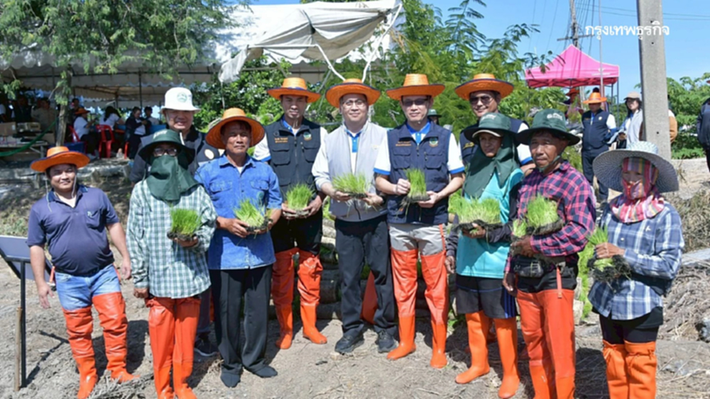 กรมชลฯ kick off ส่งเสริมนาเปียกสลับแห้งสู่การขยายผลพื้นที่ชลประทาน