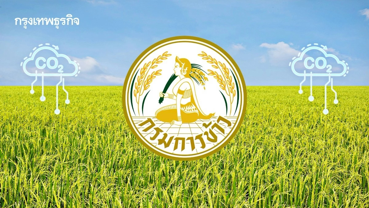 'ผอ.สมหมาย' กางภารกิจชู 'ข้าวคาร์บอนต่ำ' ตอบโจทย์ BCG-สิ่งแวดล้อม