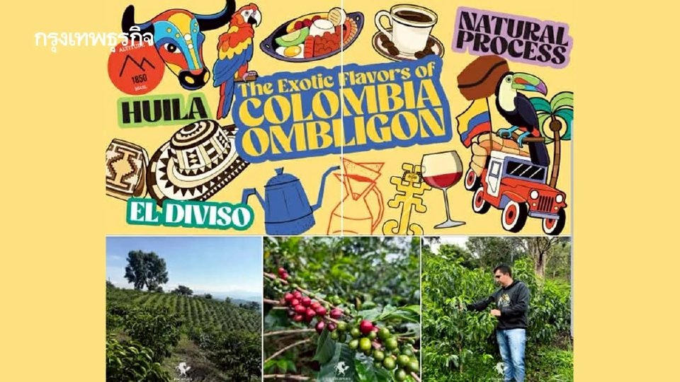 Ombligon กาแฟหายาก รสชาติ Exotic!