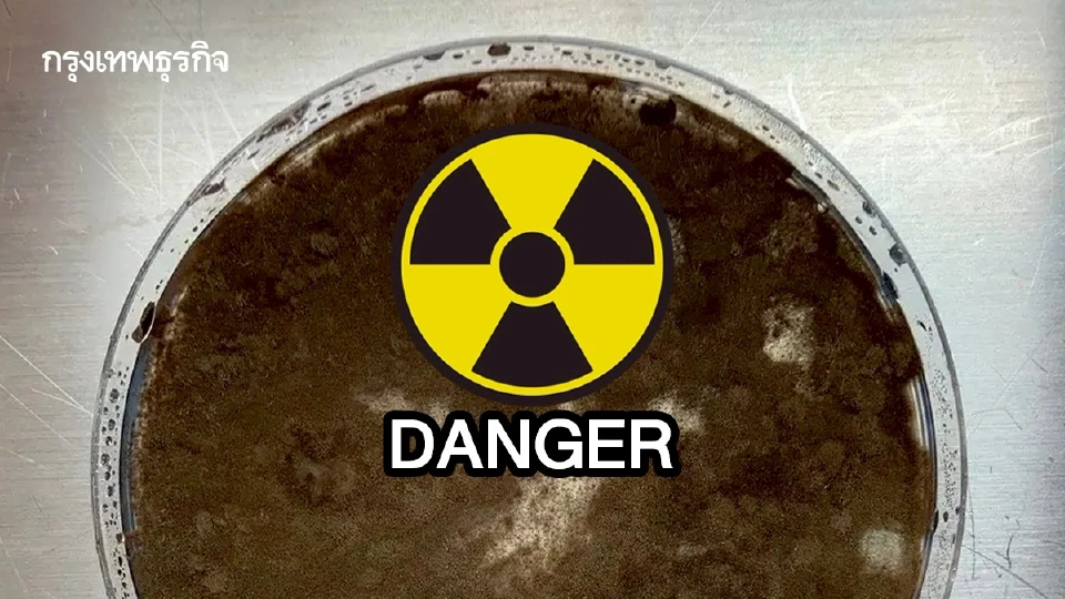 พบ ‘เชื้อราดำ’ เติบโตใน ‘เชอร์โนบิล’ หวังใช้เป็นโล่ชีวภาพป้องกันกัมมันตภาพรังสี