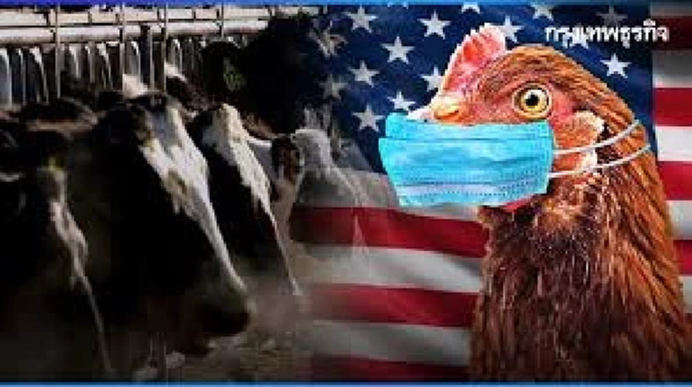USDA ยืนยันไข้หวัดนก H5N1 ในฝูงโคนม เป็นการแพร่ระบาดจากสัตว์ป่าระลอกใหม่