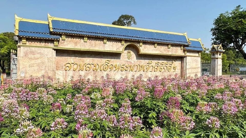 รับแดดอุ่นที่สวนสมเด็จพระนางเจ้าสิริกิติ์ ป่าเล็กในเมืองใหญ่