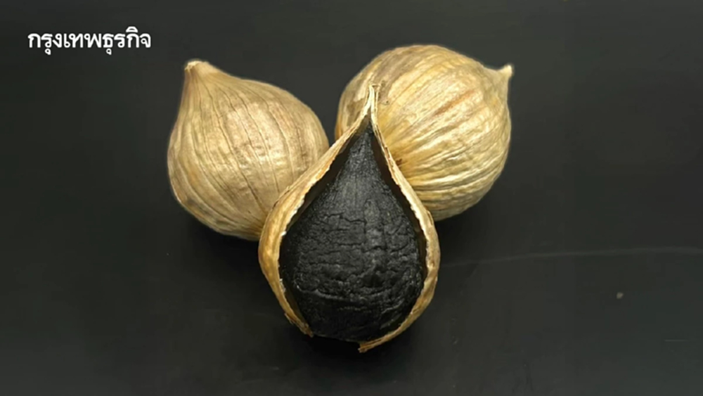 กระเทียมดำ เพิ่มมูลค่า15 เท่า เกษตรกรยิ้มได้รายได้พุ่ง