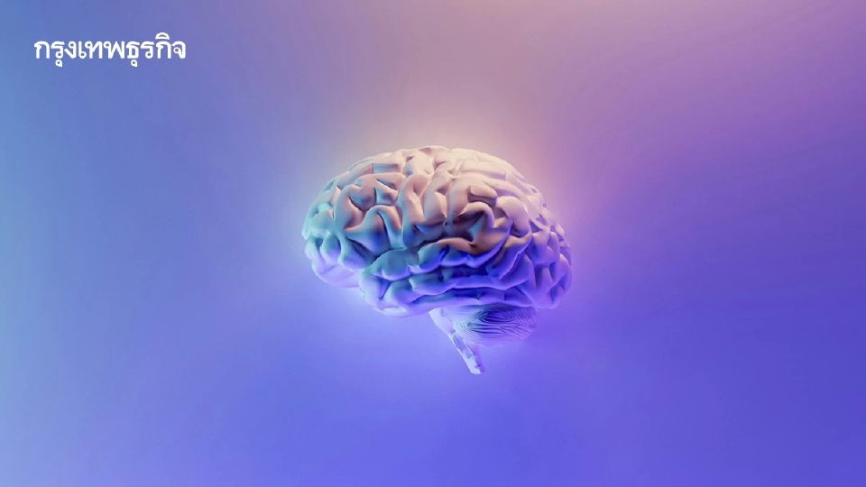สมองยังคงอยู่ในช่วง “วัยรุ่น” ไปจนถึงอายุ 30 ปี เปิดงานวิจัย 4 ช่วงอายุสำคัญของ ‘สมอง’