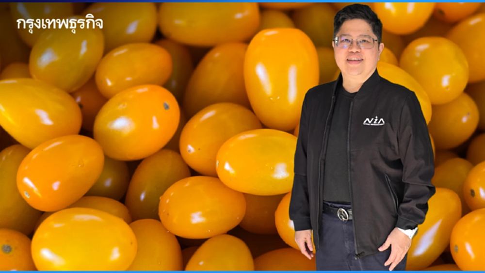 ยกระดับเศรษฐกิจชุมชน ด้วยโครงการ ‘หมู่บ้านนวัตกรรมเพื่อสังคม'