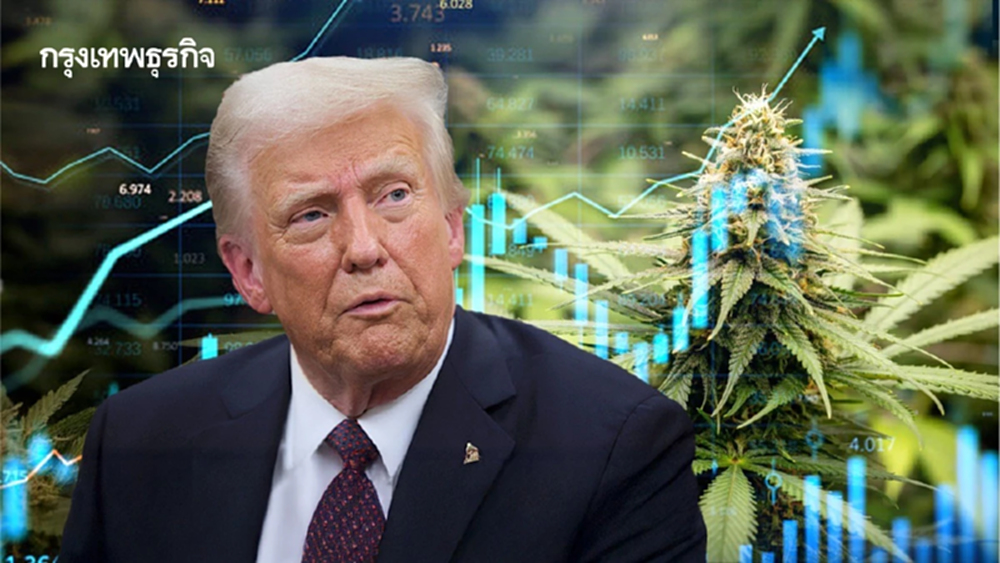 หุ้นกัญชาพุ่งรับ ‘ทรัมป์’ เซ็นต์คำสั่งฯ จัดประเภทใหม่ จันทร์นี้