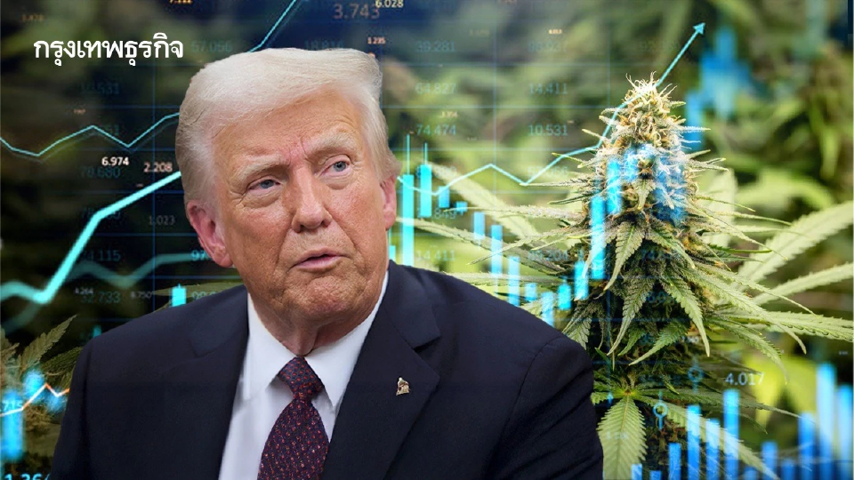 หุ้นกัญชาพุ่งรับ ‘ทรัมป์’ เซ็นต์คำสั่งฯ จัดประเภทใหม่ จันทร์นี้