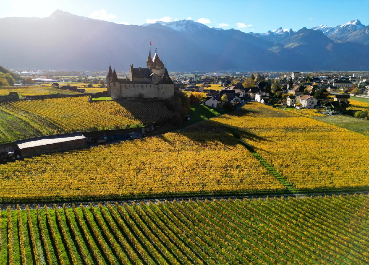 โหวตเตอร์สวิตเซอร์แลนด์คว่ำแผนเก็บภาษีอภิมหาเศรษฐี