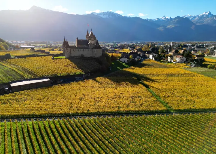 โหวตเตอร์สวิตเซอร์แลนด์คว่ำแผนเก็บภาษีอภิมหาเศรษฐี