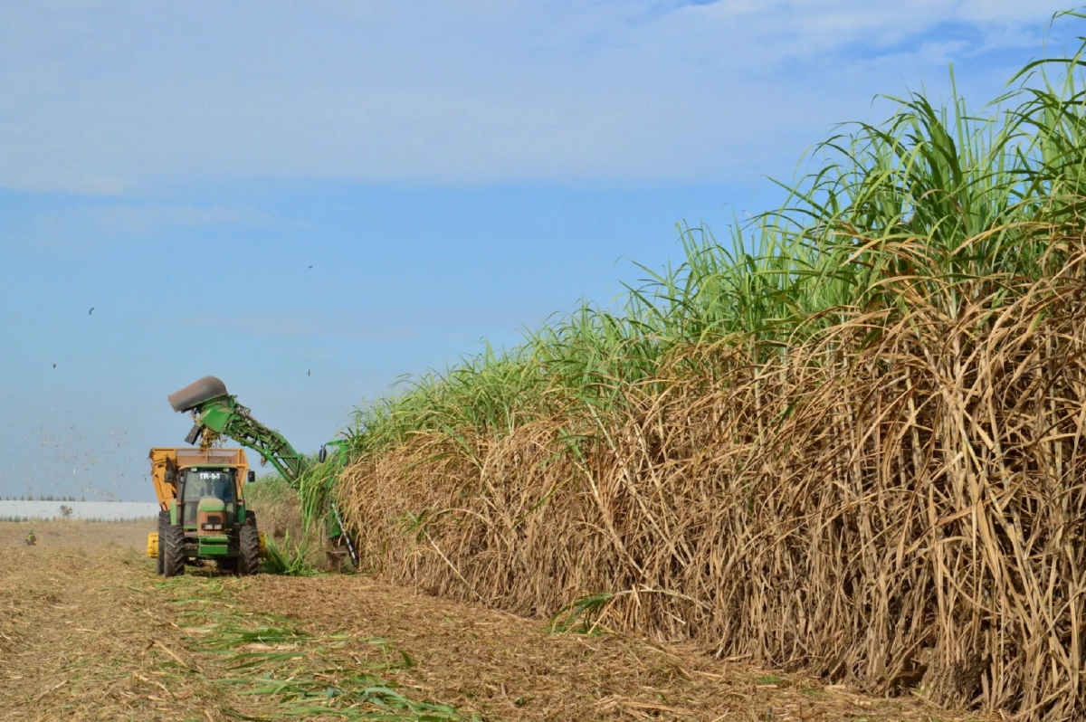 3 สมาคมโรงงานน้ำตาล ป้องชาวไร่ ชี้ PM2.5 พุ่งก่อนเปิดหีบ