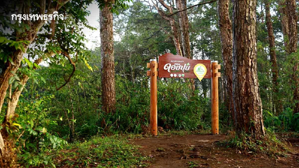 'เส้นทางศึกษาธรรมชาติยอดดอยปุย'โอเอซิสหลังบ้านของชาวเชียงใหม่