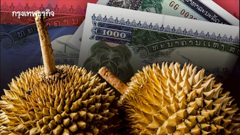 จับตา ‘ทุเรียนลาว’ ชิงส่วนแบ่ง ‘ไทย’ ส่งออกตลาดใหญ่ในจีน