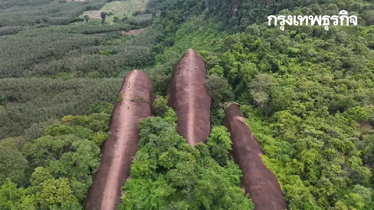 กรมป่าไม้ ประกาศยกเว้นค่าบริการป่านันทนาการ 7 แห่ง 5 ธ.ค.68 วันพ่อแห่งชาติ