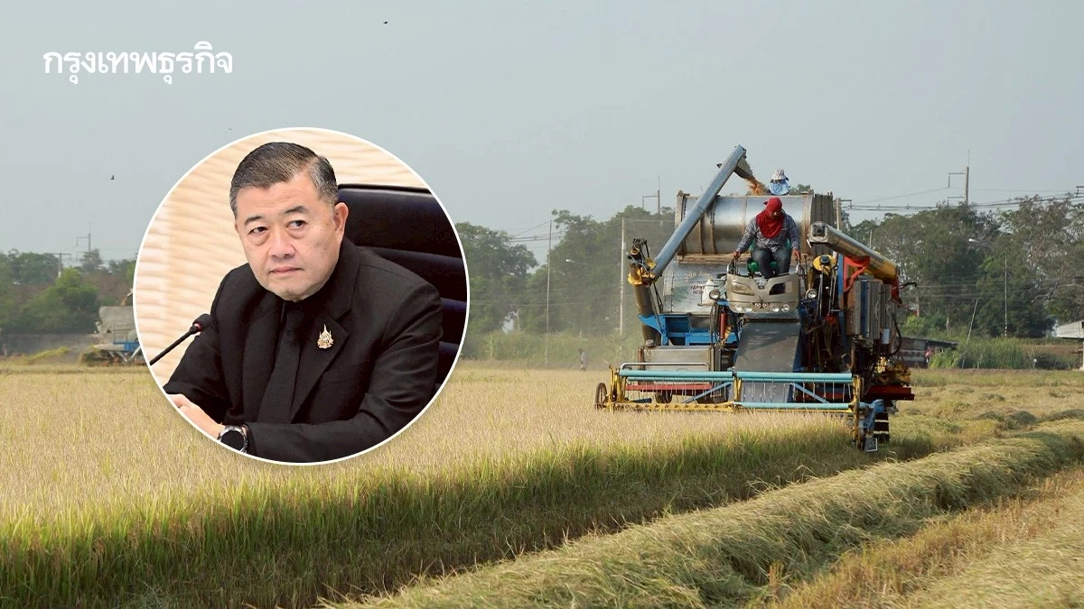 เกษตรฯ เล็งรื้อโครงสร้างการผลิตข้าว ยาง การบริการ เป้าลดต้นทุนเพิ่มคุณภาพ