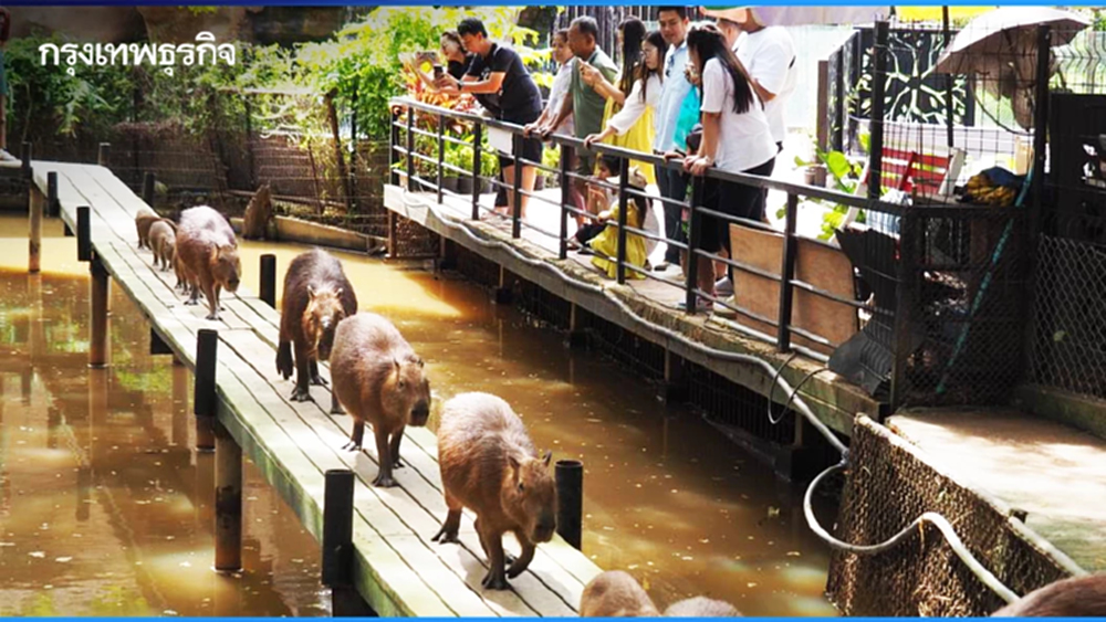 ‘วันพ่อ’ เข้าชมฟรี! รวมสถานที่เที่ยวทั่วไทย วันที่ 5 ธันวาคม 2568