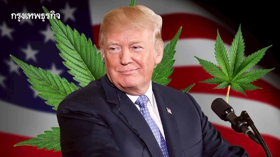 สายเขียวยิ้ม! ทรัมป์ ‘ผ่อนคลายกัญชา’ จัดประเภทใหม่ ลดระดับความร้ายแรง