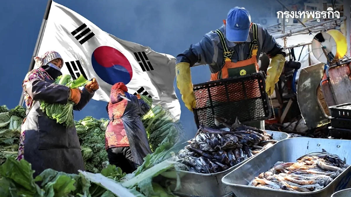 สมัครด่วน! ทำงานต่างประเทศ 'ทำงานเกาหลีใต้' ไม่ต้องสอบภาษา รายได้สูง เกือบ 5 หมื่น