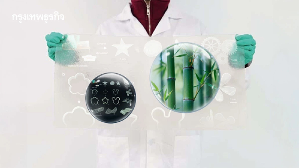 ผลิต ‘พลาสติก’ จาก ‘ไม้ไผ่’ ย่อยสลายได้ใน 50 วัน แข็งแรงทนทาน ไม่กระทบต่อสิ่งแวดล้อม