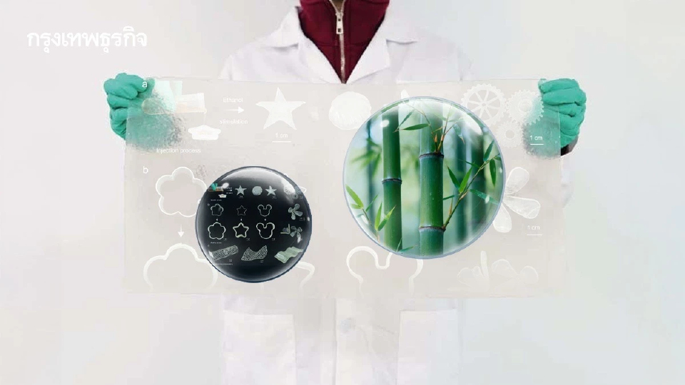 ผลิต ‘พลาสติก’ จาก ‘ไม้ไผ่’ ย่อยสลายได้ใน 50 วัน แข็งแรงทนทาน ไม่กระทบต่อสิ่งแวดล้อม