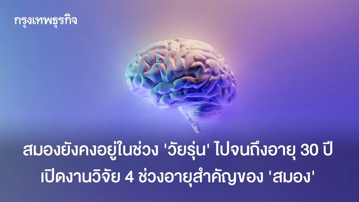 Brain Development: 4 Key Ages for Your Mind